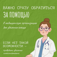 Клещи Клещи.
